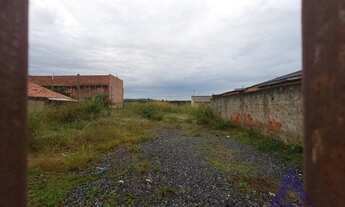 Imagem 5: Terreno para Venda em Araucária, Costeira, 1 dormitório, 1 banheiro, 1 vaga