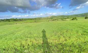 Imagem 5: Vendo fazenda em Ipuaçu