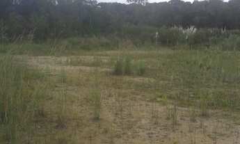 Imagem 2: Excelente Chácara com 3.500 m2 170.000.00 Campo Largo da Roseira