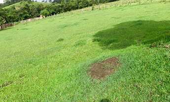 Imagem 3: VC - Venda terreno com ótima vista