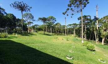 Imagem 7: CHÁCARA Chácara com venda por R$1.200.000