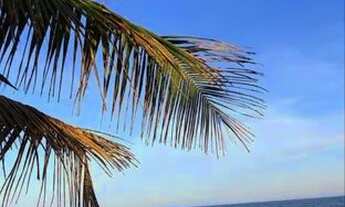 Imagem 4: Casa de praia com piscina