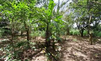 Imagem 4: Chácara condomínio fechado Hidrolândia