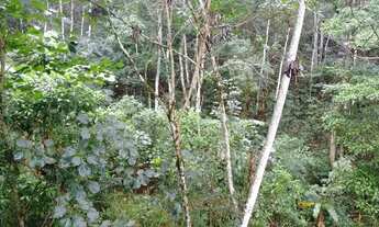 Imagem 4: Terreno com aproximadamente 400 m2 em condomínio fechado