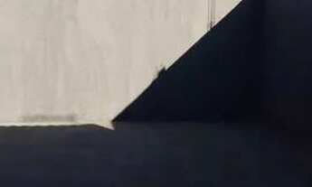 Imagem 6: Aluga-se Casa em PAIÇANDU