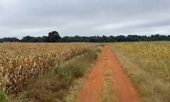 Imagem: Fazenda de 87 alqueires em Palmeiras-Go