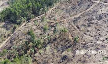 Imagem 3: Sítio 26.000 m2 em Jarinu, bairro Campo Largo