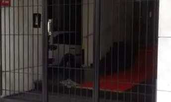 Imagem 4: Flamengo Ferreira viana