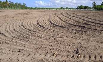 Imagem 5: Oportunidade - Vilaggio dos coqueiros