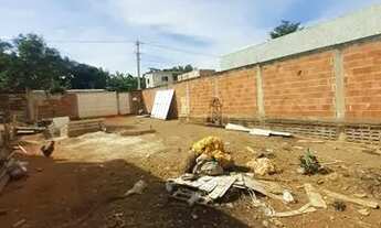 Imagem 3: Vendo lote com emergência no Jardim Botânico