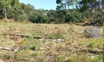 Imagem 7: Terreno no Loteamento Vista do Vale em Canela!