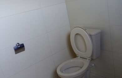 Imagem 7: Casas para alugar