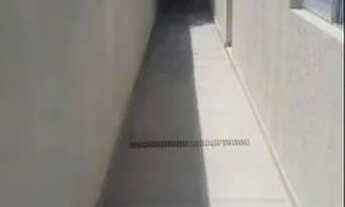 Imagem 3: Casa para venda com 157 metros quadrados com 2 quartos em Parque América - São Paulo - São