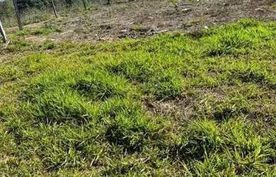 Imagem 3: Lote/Terreno para venda possui 1500 metros quadrados em Centro - Mairiporã - SP