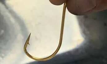 Imagem 2: Locação de temporada /conforto na virada Balneário Camboriú