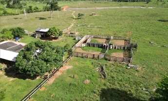 Imagem 2: Sitio 52 Hectares Formado