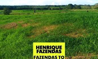 Imagem 4: Fazenda 30 alqueires região de Goianorte