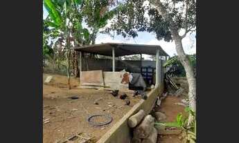 Imagem 2: Fazenda/Sítio/Chácara para venda tem 280 metros quadrados com 2 quartos