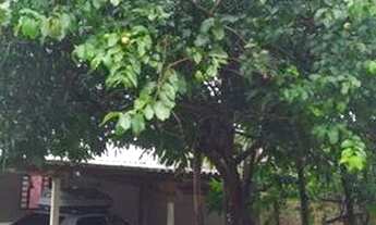 Imagem 6: Vende-se casa Planaltina-DF 2 quartos sozinha casa 100 m2 lote 200m2 100mil