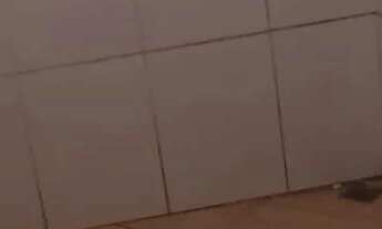 Imagem 3: Aluguel de casa Casa com 1 dormitório