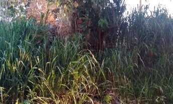 Imagem 7: Lote / Terreno à venda em Serra