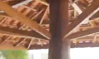 Imagem 2: Casa aguai Sp Casa com 3 dormitórios