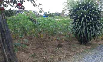 Imagem 4: Chácara Em Itapetininga