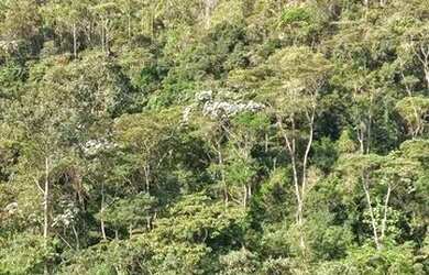 Imagem 3: Lote / Terreno à venda em Domingos Martins