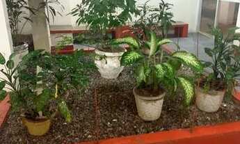 Imagem 4: Apartamento em Casa Caiada