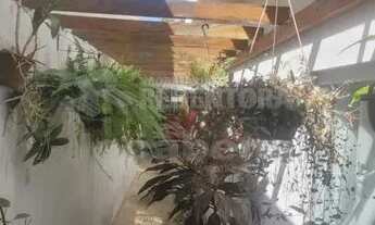 Imagem 6: Casa Padrão em São José do Rio Preto