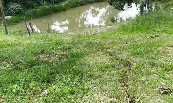 Imagem 2: Arrendo fazenda 32 alqueires toda formada brachiaria