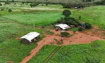 Imagem: Fazenda 1.500 hect em Acorizal MT. 600hect