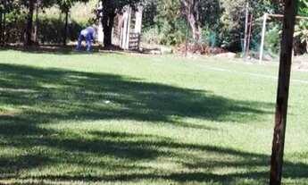 Imagem 4: Vendo fazendinha em Betim