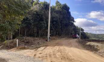 Imagem 4: Vende se terreno na Contenda em São José dos Pinhais