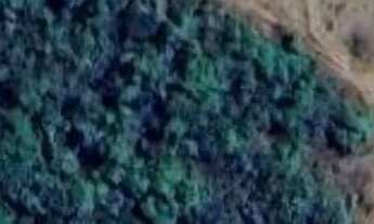 Imagem: Sítio em Olímpia/SP