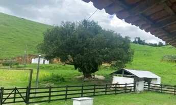 Imagem 4: Venda-se está propriedade de 5,5 (cinco alqueires e meio) no interior do Município de Mimo