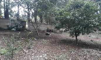 Imagem 9: Lote em condomínio em Rua Unidos de Vila Isabel - Jardim San Ressore (Caucaia do Alto) - C