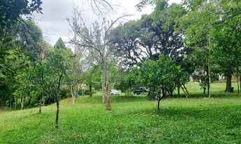 Imagem 7: CAXIAS DO SUL - Casa Padrão - PEDANCINO