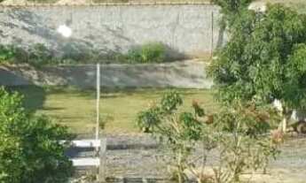 Imagem 3: Locação de chácara