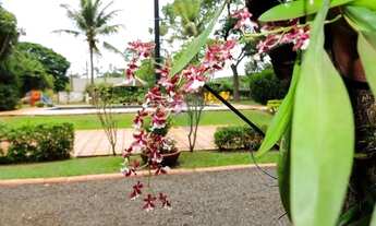 Imagem 5: Chácara Completa para Lazer, Eventos e Hospedagem - Recreio Internacional Ribeirão Preto