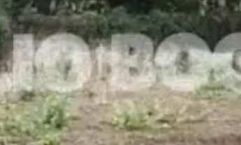 Imagem 2: Vargem grande estr.rio morto terreno linear 1005m2