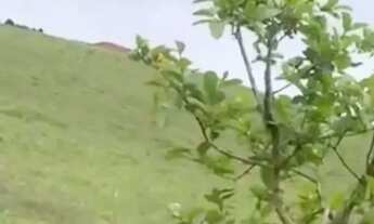 Imagem 7: He Confira! Aceitamos ofertas!Casa + 826m²!