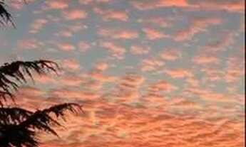 Imagem: CASA EM JOINVILLE, 2 QUARTOS