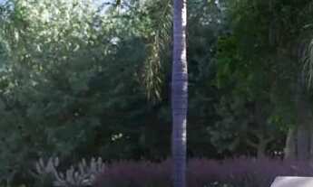 Imagem 2: Apartamento à venda com 112m² e 3 quartos no Santa Cândida Curitiba/PR