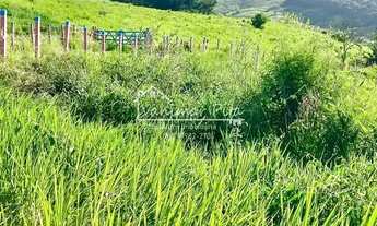 Imagem 2: Fazenda em Pilar- AL com 26 hectares na zona da Mata