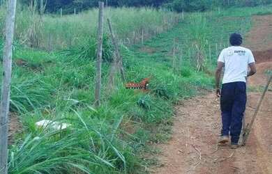 Imagem 3: Terreno 1.200 m² em Ponte Nova (Oratórios) - Residencial/Comercial