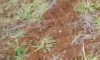 Imagem: Chácara cabeceiras