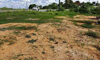 Imagem 5: Terreno para sítio/ chácara