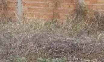 Imagem: Lote Plano e Murado - Augusta Mota / Major