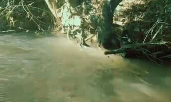 Imagem 2: Alugo chácara pequena, 4 qt, mezanino, perto de tudo em condomínio rural, córrego perto